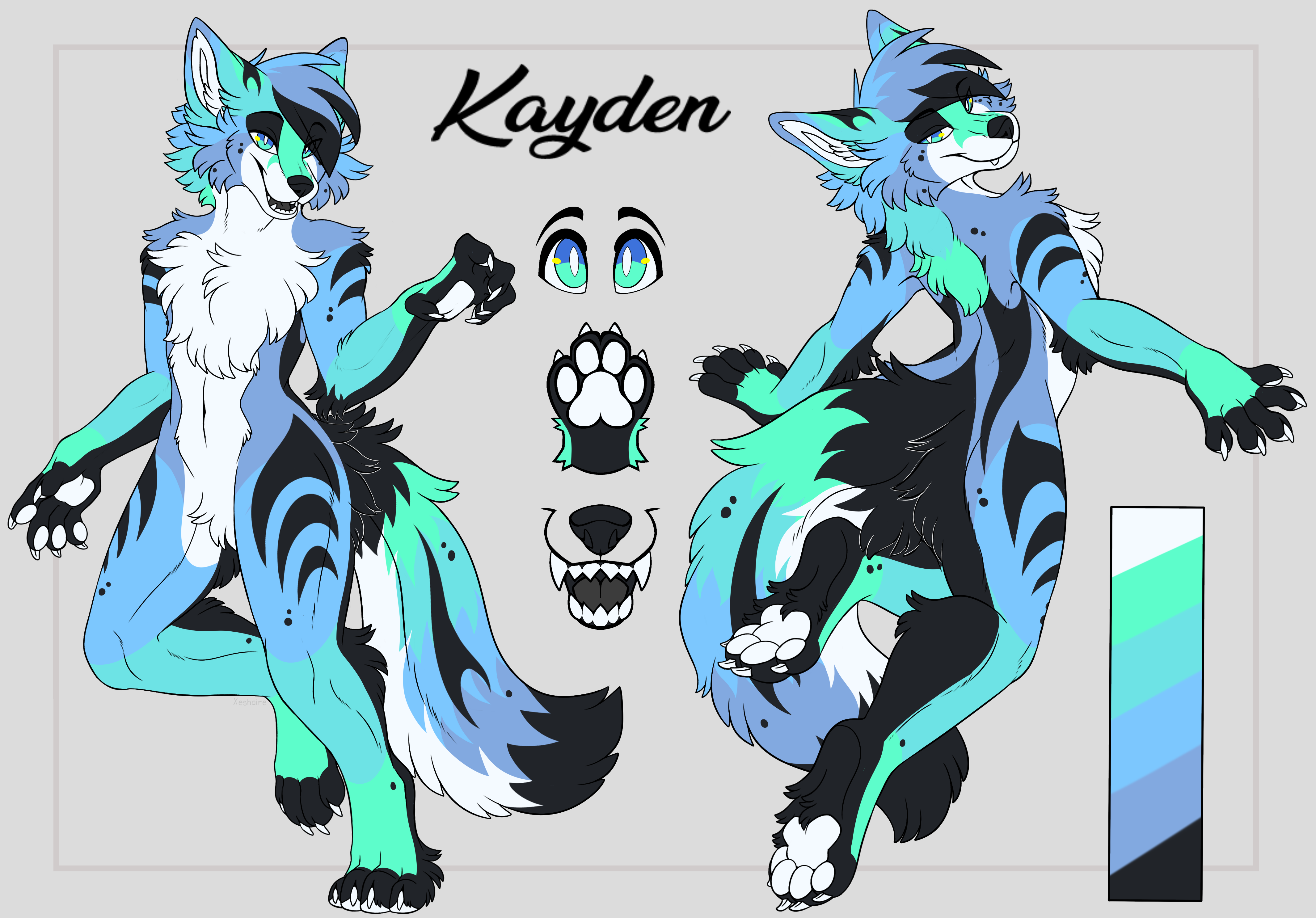 Kayden